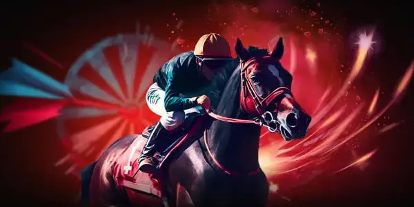 Bets vip net